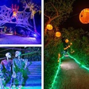 Lights at Spooky Point Returns October 9–31