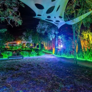  Lights at Spooky Point Tickets are On Sale Now