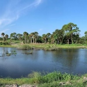 A Habitat Restored at the Lemon Creek Wildflower Preserve