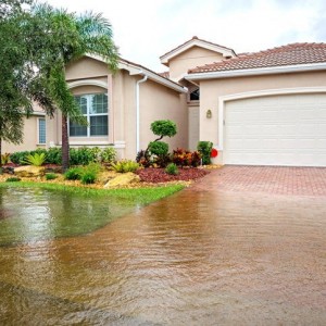 Realtor Association Announced Hurricane Debby Relief