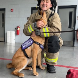 Dogs Inc Brings the Healing Power of Dogs to Manatee County First Responders