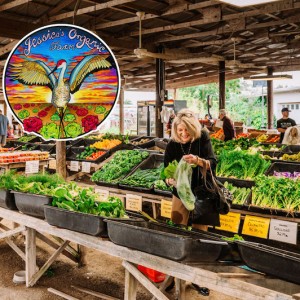 Iconic Sarasota Farm Raises over $10k after Hurricane